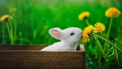 爱游戏体育-中国三人女篮坚持科学训练，中国队三人女篮