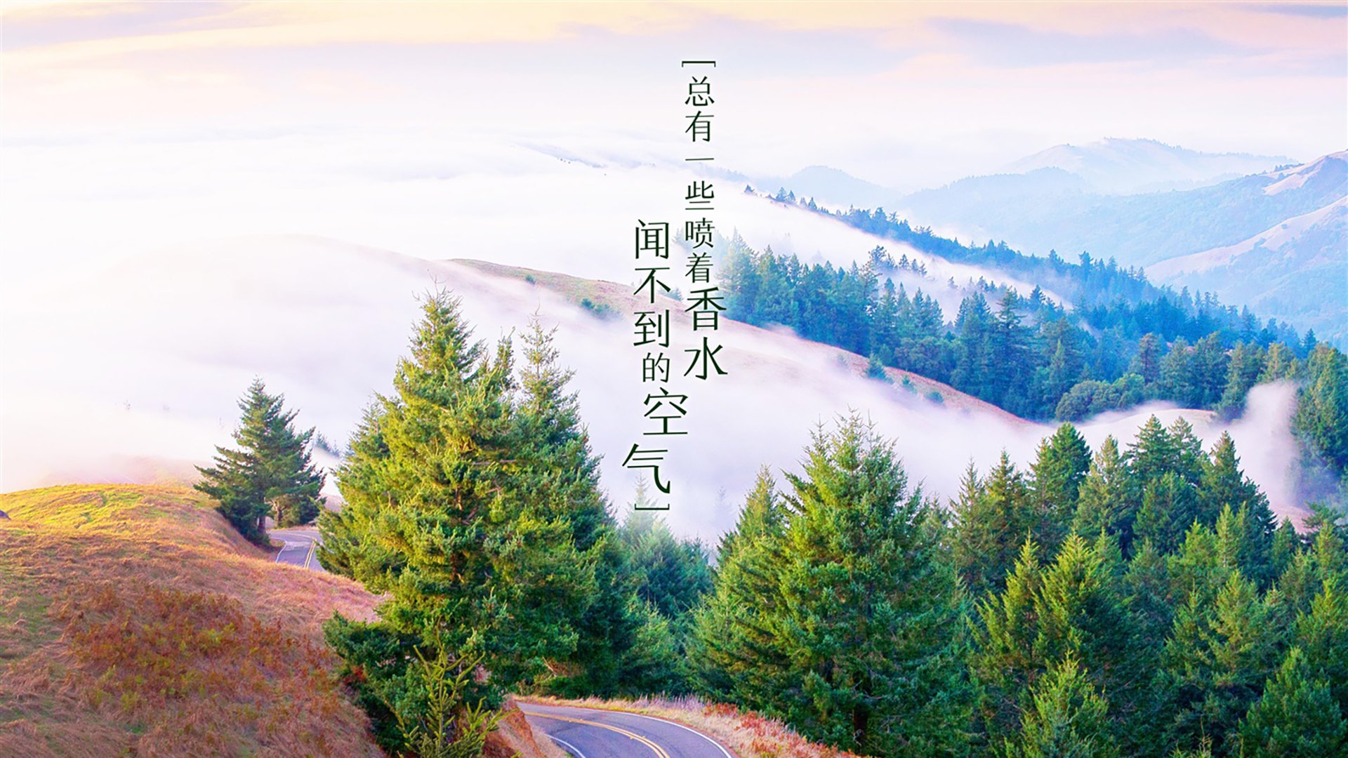 TL选手参与慈善直播活动，慈善赛事
