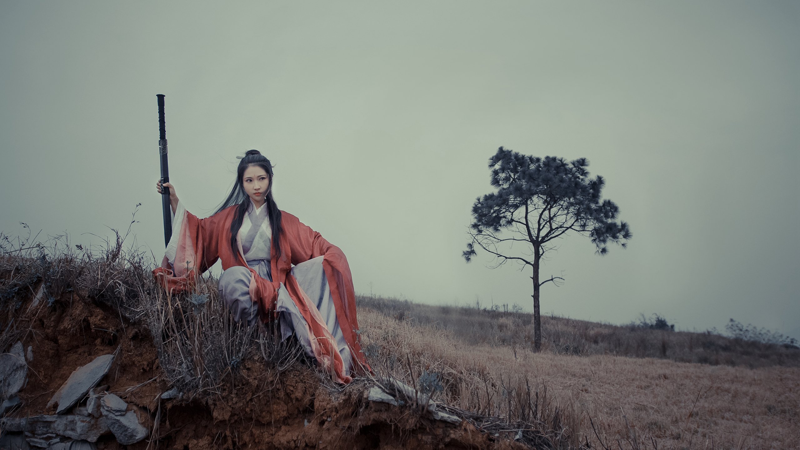 山东高速球队主场优势明显，山东高速篮球队赛程