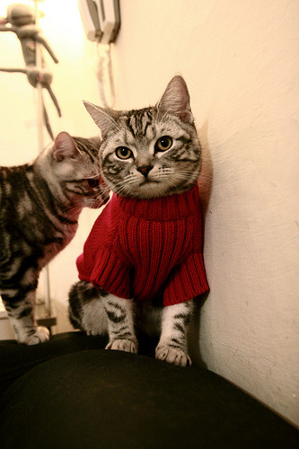 中国足球门将扑救区域热图,中国足球门将最差吗