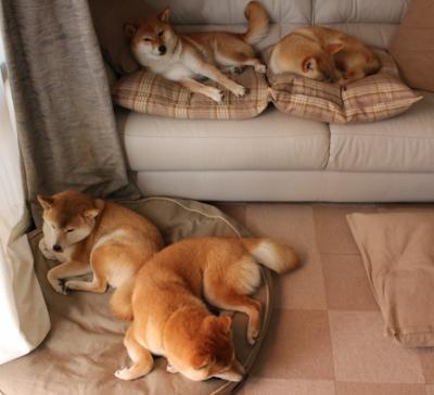 中超赛事暂停时段战术调整类型统计，中超比赛延期多久