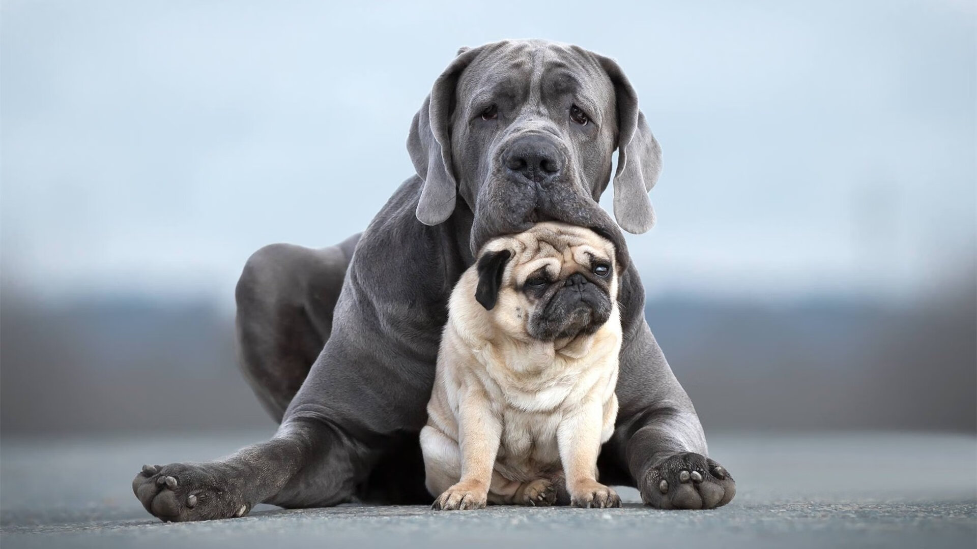 德甲球队通过实时心率监测系统制定差异化恢复策略