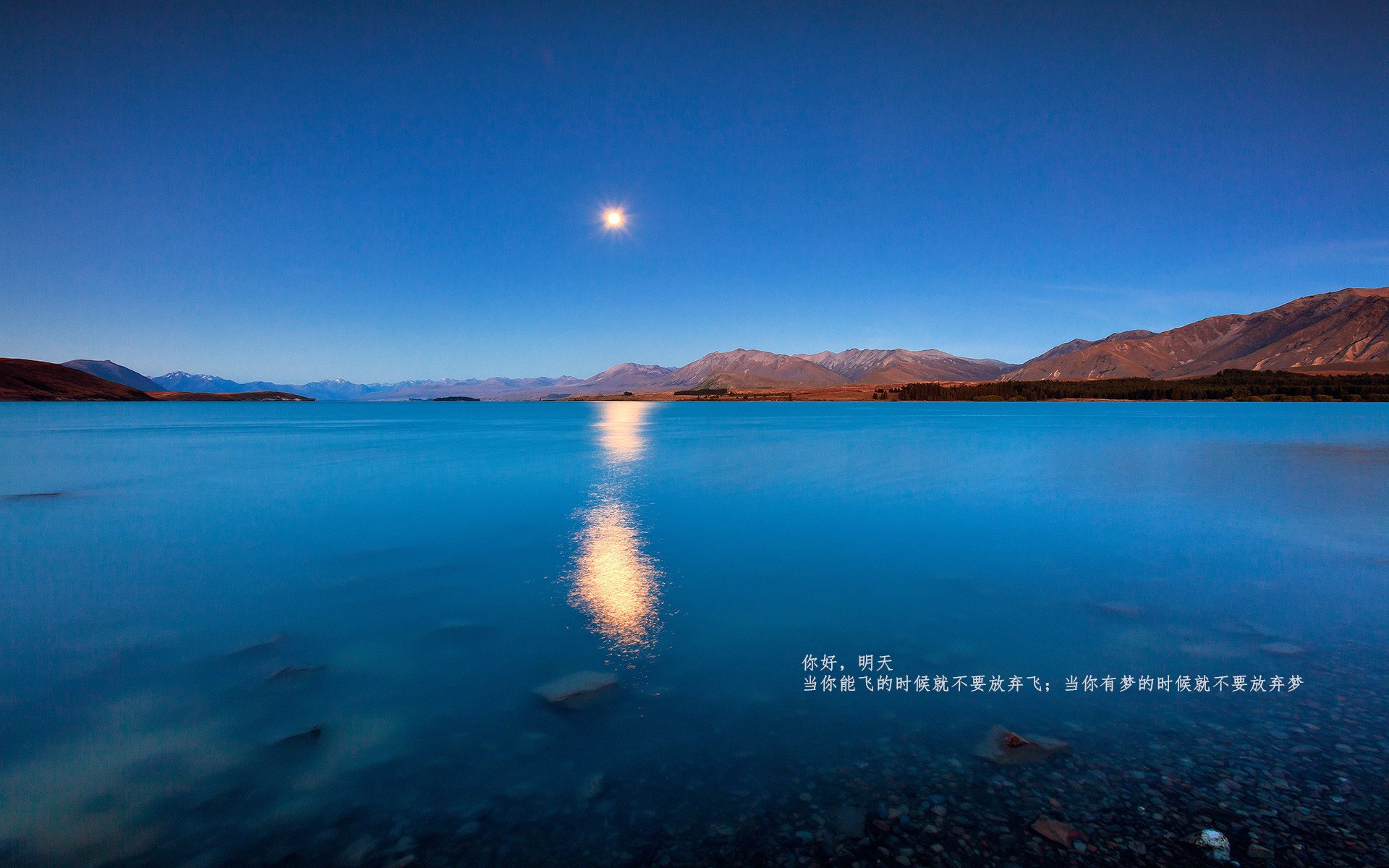 “新都福乐球赛：攻防之战一触即发”