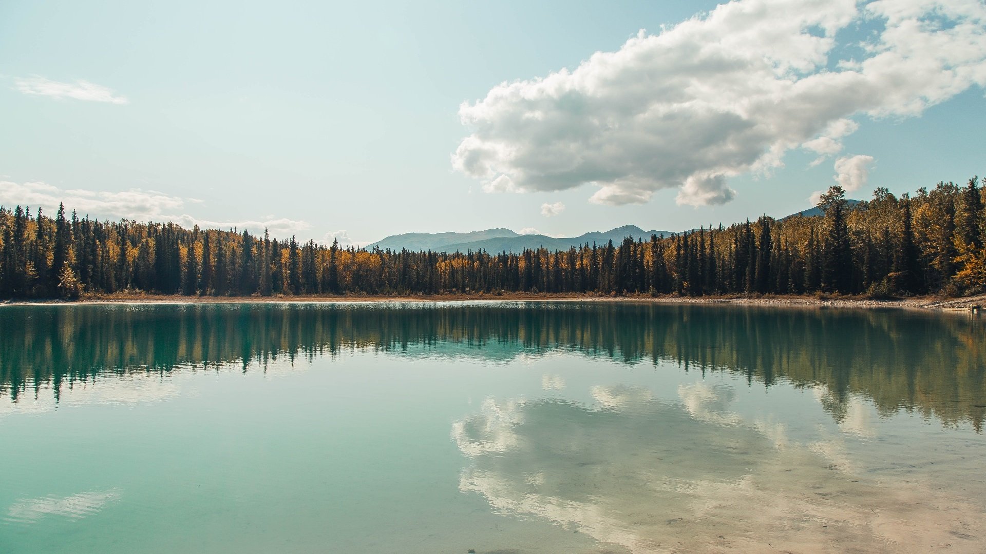 爱游戏体育-中国女篮防守反击成为制胜法宝，中国女篮真棒