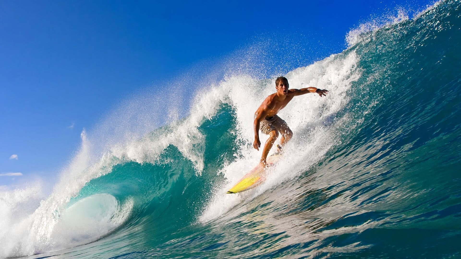 排球超级联赛女队外援表现抢眼，引热议，排球队女神